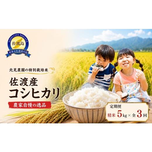 ふるさと納税 米 コシヒカリ 新潟県 佐渡市 先行予約・限定 令和8年産 特別栽培米 佐渡産コシヒカリ 農家直送 朱鷺も棲む 北見農園自慢の逸品 定期便(…