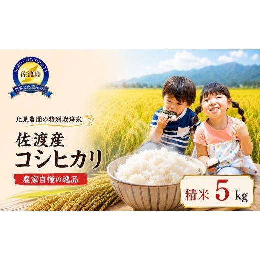 ふるさと納税 米 コシヒカリ 新潟県 佐渡市 先行予約・限定 令和8年産 特別栽培米 佐渡産コシヒカリ 農家直送 朱鷺も棲む 北見農園自慢の逸品 精米5kg