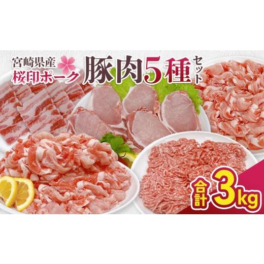 ふるさと納税 豚肉 ロース 宮崎県 えびの市 宮崎県産 豚肉 桜印ポーク5種セット (ローススライス / ロースまたは肩ロースカツ / バラ焼肉 / 切り落とし / …