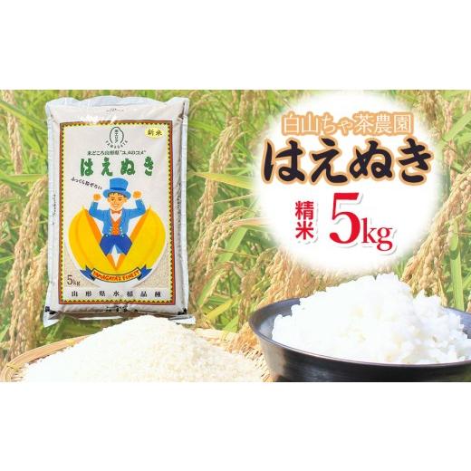 ふるさと納税 米 はえぬき 山形県 鶴岡市 令和8年産先行予約 白山ちゃ茶農園のはえぬき 精米5kg(5kg×1袋) K-835 山形県鶴岡市 | 5キロ はえぬき 白米 精…
