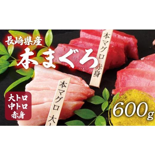 ふるさと納税 マグロ 長崎県 佐世保市 長崎県産 本マグロ 大トロ 中トロ 赤身 セット 600g 以上 産地直送 新鮮 刺身 柵 冷凍 真空パック 小分け タレ付き 刺身…