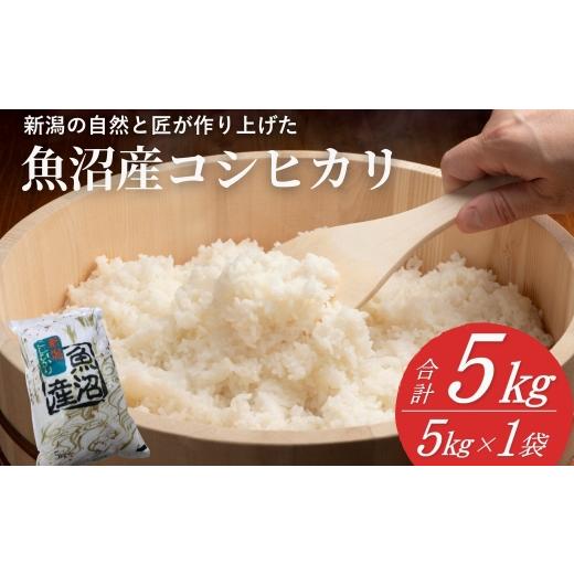 ふるさと納税 米 コシヒカリ 新潟県 小千谷市 米 コシヒカリ魚沼産コシヒカリ 魚沼コシヒカリ 5kg 令和8年産 先行予約 精米 共栄農工社 | 魚沼産こしひかり 魚…