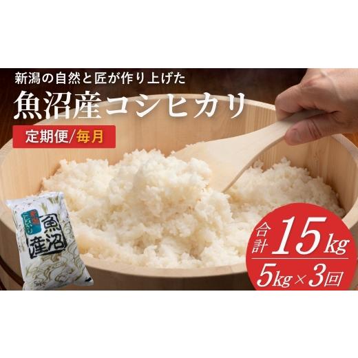 ふるさと納税 米 コシヒカリ 新潟県 小千谷市 米 コシヒカリ魚沼産コシヒカリ 魚沼コシヒカリ 定期便 計15kg(5kg×3回) 毎月お届け 令和8年産 先行予約 精米 …