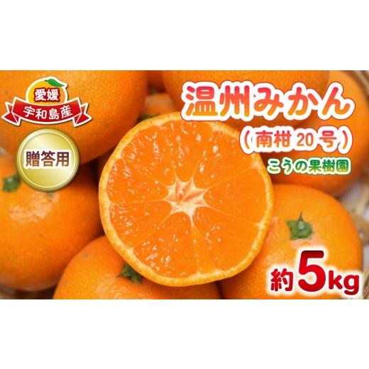 ふるさと納税 果物類 みかん 愛媛県 宇和島市 贈答用 南柑20号 みかん 5kg M〜L サイズ こうの果樹園 温州みかん 温州 愛媛みかん 愛媛蜜柑 愛媛ミカン うんし…
