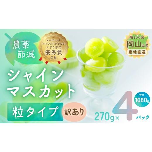 ふるさと納税 ぶどう マスカット 岡山県 瀬戸内市 シャインマスカット 粒タイプ 訳あり 1080g (270g×4パック) 農薬節減 ブドウ ぶどう 葡萄 岡山県 国産 フル…