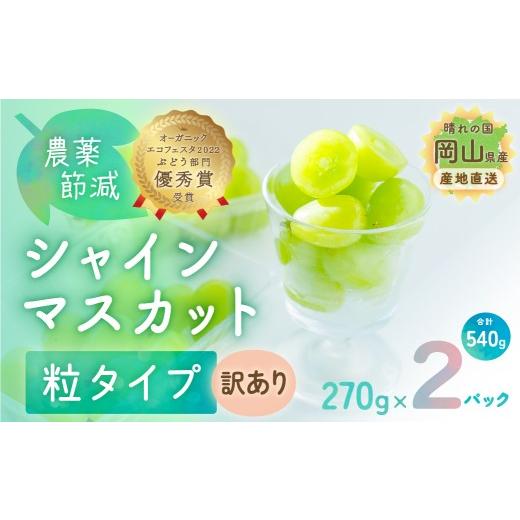 ふるさと納税 ぶどう マスカット 岡山県 瀬戸内市 シャインマスカット 粒タイプ 訳あり 2パック入 270g×2パック (540g) 農薬節減 ブドウ ぶどう 葡萄 岡山県 …