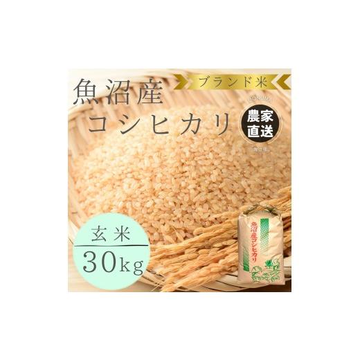 ふるさと納税 米 コシヒカリ 新潟県 魚沼市   先行予約 令和8年産 ブランド米 魚沼産コシヒカリ 玄米 30kg 米 こしひかり 新潟