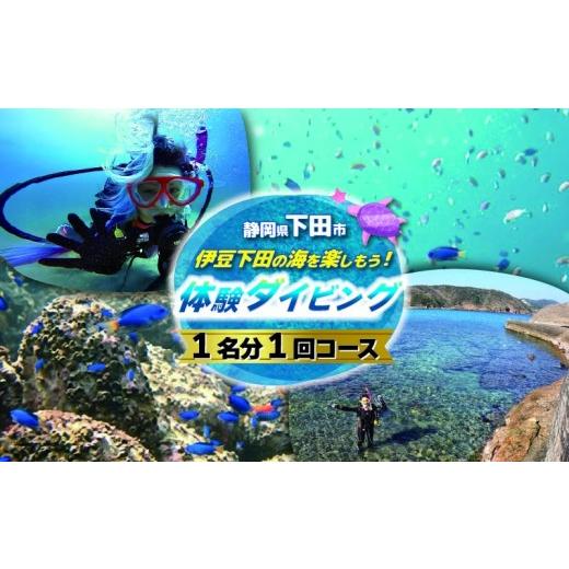 ふるさと納税 体験チケット 静岡県 下田市 ダイビング 体験チケット 1回コース 下田 体験 海 初心者 1回 コース アウトドア スポーツ アクティビティ マリンス…