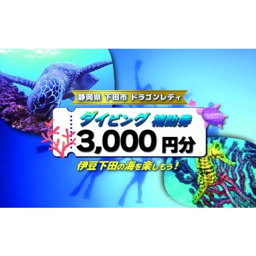 ふるさと納税 体験チケット 静岡県 下田市 ダイビング 補助券 3,000円分 優待券 下田 体験 海 アウトドア スポーツ アクティビティ マリンスポーツ レジャー …