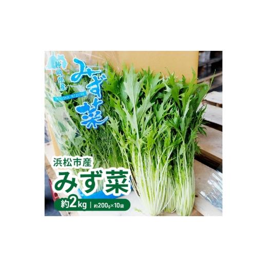 ふるさと納税 野菜類 静岡県 浜松市 浜松市産 みず菜 約2kg(約200g×10袋)水菜 サラダ 野菜 キョウナ 京菜 ヒイラギナ 柊菜 センスジナ 千筋菜 静岡 浜松市 …