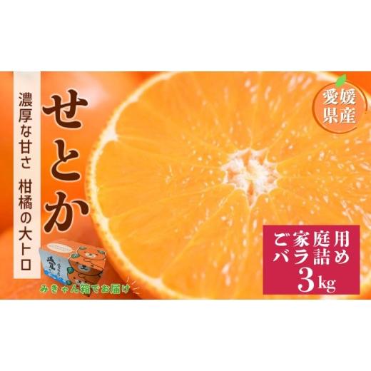 ふるさと納税 みかん・柑橘類 愛媛県 伊予市 2027年先行予約 せとか 3kg バラ詰め Mサイズ以上 2027年2月上旬より順次発送予定 みきゃん箱 愛媛 数量限定 愛…