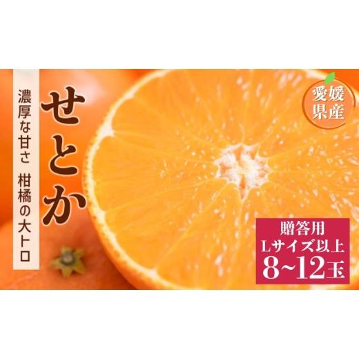 ふるさと納税 みかん・柑橘類 愛媛県 伊予市 2027年先行予約 せとか 8〜12玉 Lサイズ以上 贈答用 2027年2月上旬より順次出荷予定 愛媛 数量限定 愛媛県産 人…