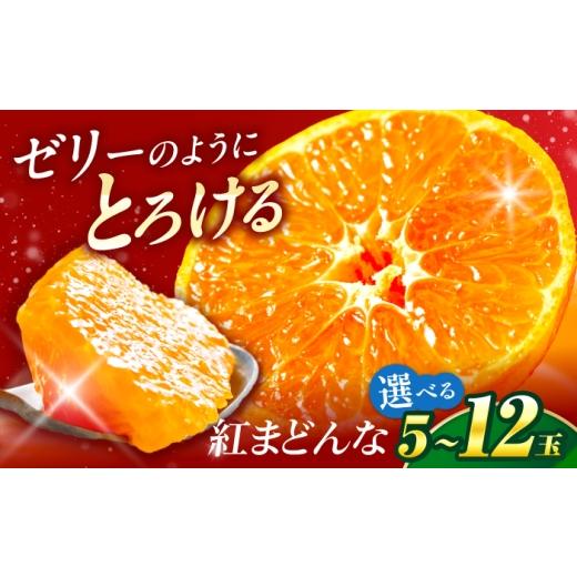 ふるさと納税 果物類 みかん 愛媛県 砥部町 紅まどんな Lサイズ 6個入り 11月中旬から12月下旬まで順次発送 / フルーツ 果物 蜜柑 ミカン オレンジ 小玉 甘い…
