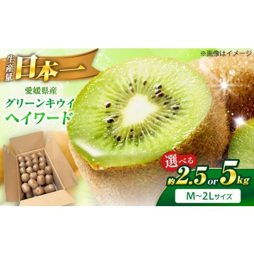 ふるさと納税 果物類 愛媛県 砥部町 キウイフルーツ グリーンキウイ ご家庭用 M-2Lサイズ 約2.5kg 1月上旬から3月下旬まで順次発送 / フルーツ 果物 キウイ …