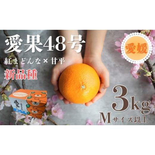 ふるさと納税 みかん・柑橘類 愛媛県 伊予市 2027年先行予約 みかん 愛果48号 3kg Mサイズ以上(みきゃん箱)紅プリンセス同一品種 2027年3月下旬から順次発…