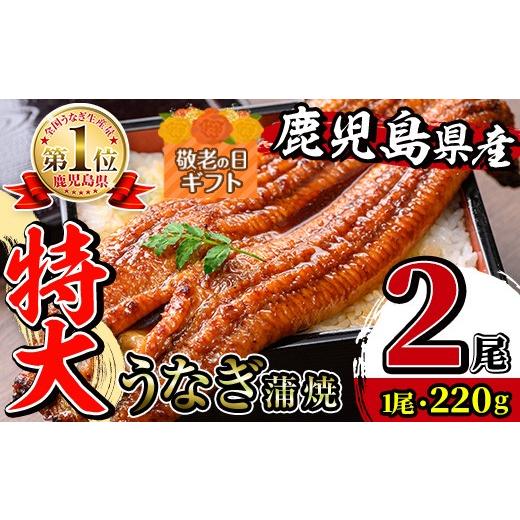 ふるさと納税 うなぎ 鹿児島県 出水市 i1078-A-k 敬老の日ギフト ＼特大サイズ/鹿児島県産 うなぎ蒲焼 2尾(約220g×2・計約440g) たれ 山椒付きうなぎ 鰻 …