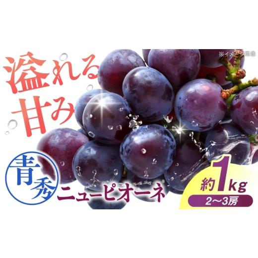 ふるさと納税 果物類 ぶどう 広島県 三次市 先行予約 ニューピオーネ 青秀(約1kg/2から3房/露地栽培) 9月上旬頃から順次発送 三次市 / 西田ぶどう園 APC…