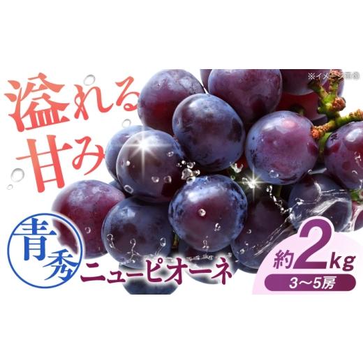 ふるさと納税 果物類 ぶどう 広島県 三次市 先行予約 ニューピオーネ 青秀(約2kg/3から5房/露地栽培) 9月上旬から順次発送 露地栽培 三次市 / 西田ぶど…