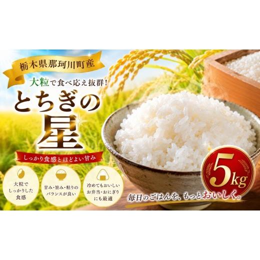 ふるさと納税 米 栃木県 那珂川町 新米 お米 とちぎの星 5kg | 先行予約 令和8年度産 ふるさと納税 お米 ご飯 精米 白米 栃木県 那珂川町 送料無料 単品 5kg |…