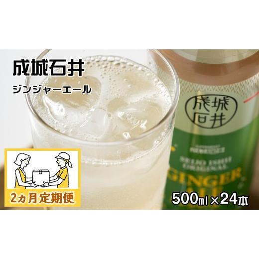 ふるさと納税 炭酸飲料 神奈川県 山北町 2ヵ月定期便 成城石井 ジンジャーエール 500ml×24本