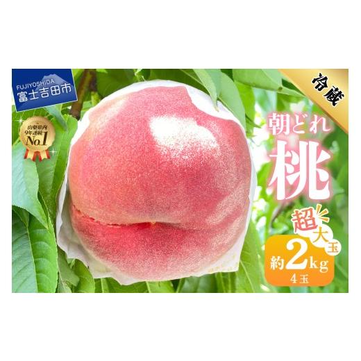 ふるさと納税 もも 山梨県 富士吉田市 2026年発送 山梨の朝どれ超大玉桃2kg(4玉) 超大玉 桃 約2kg(4玉) 11,500 円