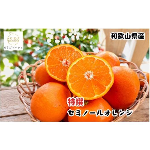 ふるさと納税 みかん・柑橘類 オレンジ 和歌山県 北山村 特選 セミノールオレンジ 7.5kg+200g(補償分) 2027年4月上旬〜5月下旬頃に順次発送予定