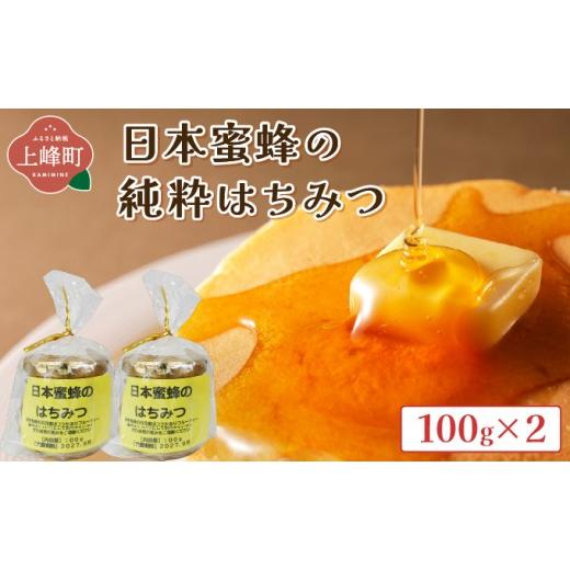 ふるさと納税 加工品等 はちみつ 佐賀県 上峰町 日本蜜蜂の純粋はちみつ 100g×2 純粋はちみつ 100g×2