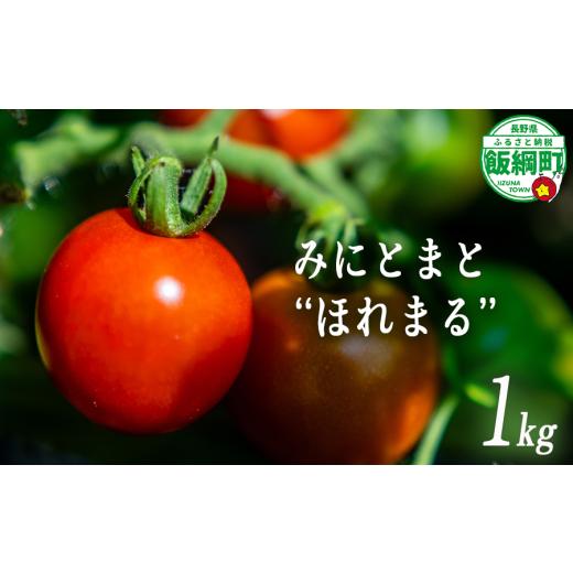 ふるさと納税 トマト 長野県 飯綱町 クール便 / 冷蔵便 NAO's FARM ミニトマト ほれまる 1kg 2026年8月上旬頃から2026年9月上旬頃まで順次発送予定 令…
