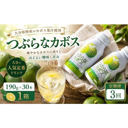 ふるさと納税 果汁飲料 大分県 豊後高田市 3ヶ月定期便 つぶらなかぼす(190ml×30本) 1ケース 3回 | カボス つぶらなカボス 柑橘 飲料 缶 粒入り 大分県 九州…