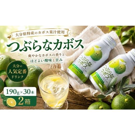 ふるさと納税 果汁飲料 大分県 豊後高田市 つぶらなかぼす (190ml×30本) 2ケース | つぶらなかぼす つぶらなカボス かぼす 柑橘 飲料 缶 粒入り 大分県 九州 …