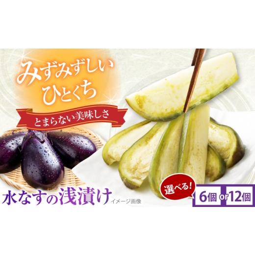 ふるさと納税 加工品等 漬物 大阪府 藤井寺市 なす 水なすの浅漬け 6個 / なす ナス 茄子 水茄子 漬物 浅漬け 煮浸し 季節野菜 夏野菜 やさい 野菜 ベジタブ…