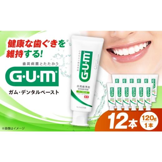 ふるさと納税 雑貨・日用品 大阪府 高槻市 GUM デンタルペースト(ST) 120g×12本 大阪府高槻市/サンスター
