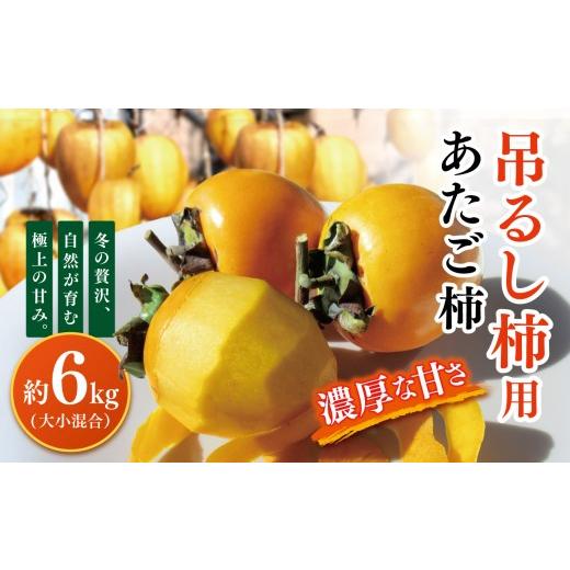 ふるさと納税 果物類 柿 奈良県 大淀町 G26 吊るし柿用あたご柿 約6kg(大小混合)| あたご柿 渋柿 王様 干す 旨味 糖度 凝縮 冬季限定 特別な味わい 上品 お…