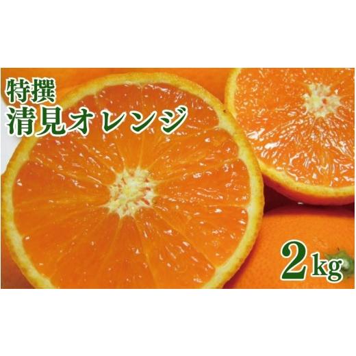 ふるさと納税 みかん・柑橘類 オレンジ 和歌山県 古座川町 特撰 清見オレンジ 2kg+200g(補償分) 2027年2月下旬〜5月上旬頃に順次発送予定 ard238A