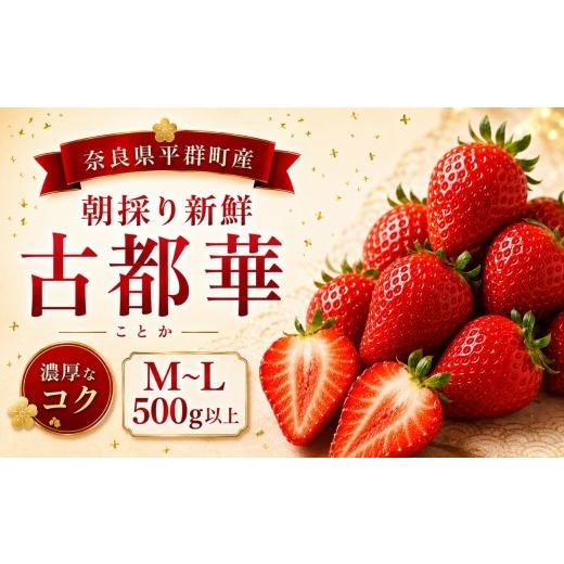 ふるさと納税 いちご 奈良県 平群町 AO01 朝採りの新鮮な古都華M〜L500g以上 いちごいちえ | 果物 くだもの フルーツ 苺 イチゴ いちご ストロベリー 古都華 …