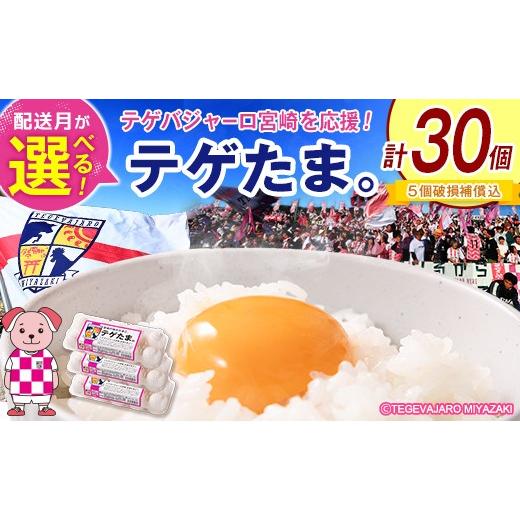 ふるさと納税 卵(鶏、烏骨鶏等) 宮崎県 新富町 2026年10月下旬お届け テゲたま。 卵 計30個入り 1箱 たまご 国産 テゲバジャーロ宮崎 A348-2610 2026年10月…