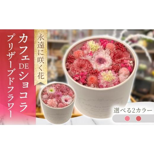 ふるさと納税 雑貨・日用品 花 長崎県 大村市 カフェDEショコラ プリザーブドフラワー アレンジメント お花ギフト / 大村市 サニーサイドファクトリー ACCK05…