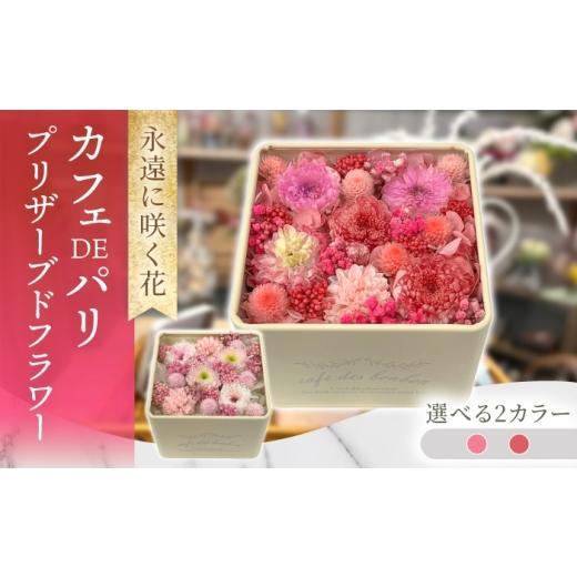 ふるさと納税 雑貨・日用品 花 長崎県 大村市 カフェDEパリ プリザーブドフラワー アレンジメント お花ギフト / 大村市 サニーサイドファクトリー