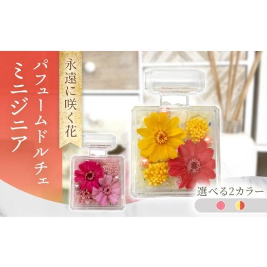 ふるさと納税 雑貨・日用品 花 長崎県 大村市 パフュームドルチェミニジニア プリザーブドフラワー アレンジメント お花ギフト / 大村市 サニーサイドファク…
