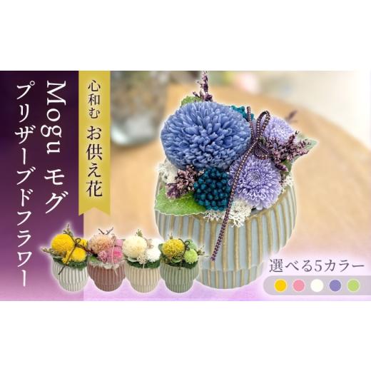 ふるさと納税 雑貨・日用品 花 長崎県 大村市 Mogu モグ プリザーブドフラワー アレンジメント お供え / 大村市 サニーサイドファクトリー