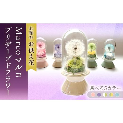 ふるさと納税 雑貨・日用品 花 長崎県 大村市 Marco マルコ プリザーブドフラワー アレンジメント お供え / 大村市 サニーサイドファクトリー