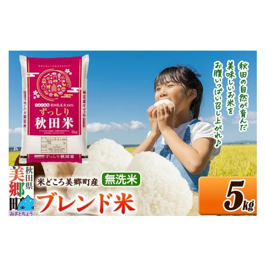 ふるさと納税 米 ブレンド 秋田県 美郷町 米 ブレンド米 無洗米 精米 5kg(5kg×1袋)秋田県美郷町産 5kg袋 お米 こめ ご飯 ごはん 米どころ 秋田県産 美郷町