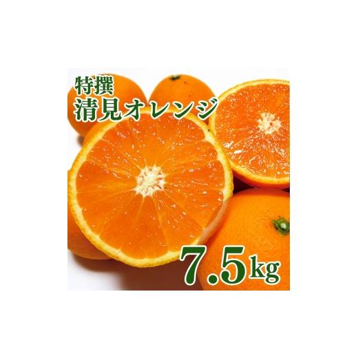 ふるさと納税 みかん・柑橘類 オレンジ 和歌山県 古座川町 特撰 清見オレンジ 7.5kg+200g(補償分) 2027年2月下旬〜5月上旬頃に順次発送予定