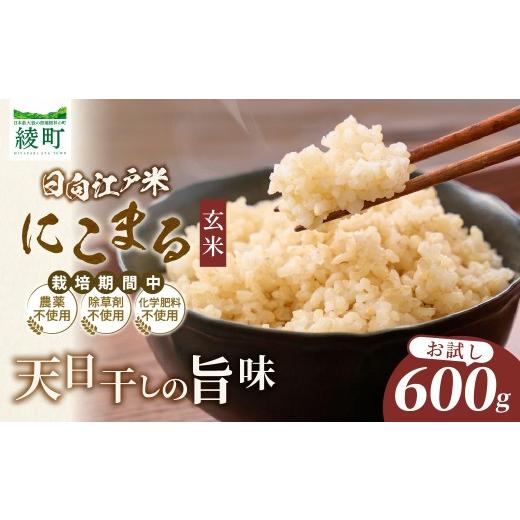 ふるさと納税 米 宮崎県 綾町 天日干し仕上げの日向江戸米(にこまる)お試し パック 計600g 玄米 国産米 ブランド米 農薬不使用 化学肥料不使用 無農薬 ごは…