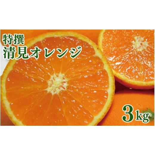 ふるさと納税 みかん・柑橘類 オレンジ 和歌山県 串本町 特撰 清見オレンジ 3kg+200g(補償分) 2027年2月下旬〜5月上旬頃に順次発送予定 ard239A