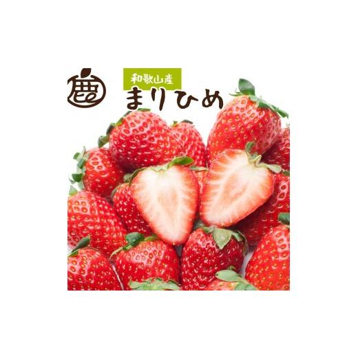 ふるさと納税 いちご 和歌山県 高野町 朝摘み完熟まりひめ約600g(300g前後×2トレイ)[和歌山ブランド苺まりひめ][こだわりの土耕栽培のいちごを農家直送…