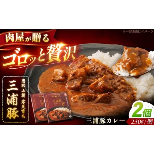 ふるさと納税 加工品等 レトルト 岐阜県 恵那市 三浦豚カレー 2個セット (230g×2個) / カレー 三浦豚 レトルトカレー セット 恵那市 / 岩島屋 AUAJ056 2個…