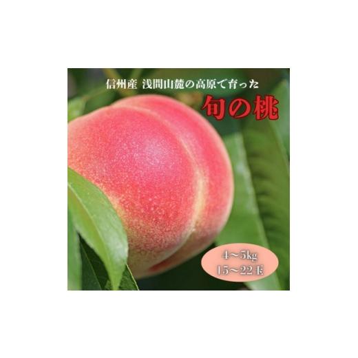 ふるさと納税 もも 長野県 御代田町 長野県浅間山麓 御代田町の桃(4〜5kg) 1754264