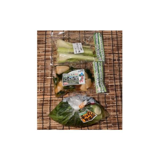 ふるさと納税 加工品等 漬物 長野県 茅野市 自家製 漬物3点セット(野沢菜、山芋わさび漬け、セロリー) 1757465