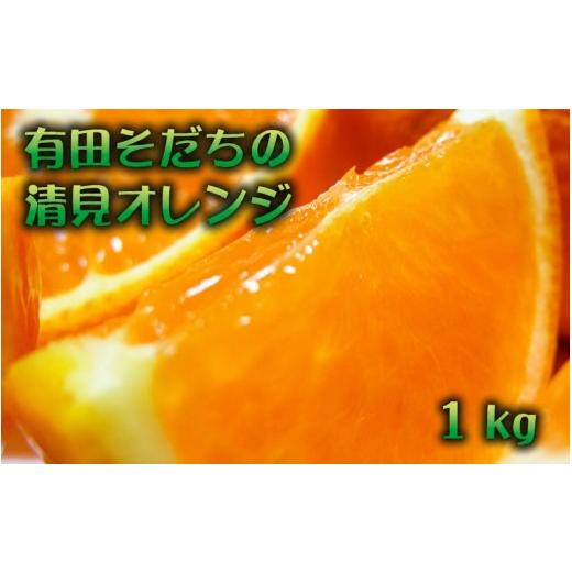 ふるさと納税 みかん・柑橘類 オレンジ 和歌山県 太地町 有田育ちの完熟清見オレンジ(ご家庭用) 1kg+200g(補償分) 2027年2月下旬〜5月上旬頃に順次発送予定 a…